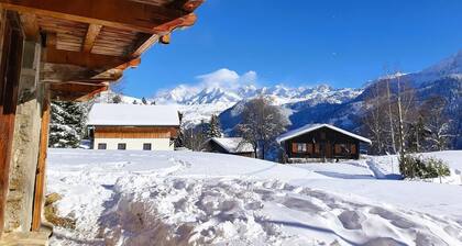 LES MIASTETS - HAUTELUCE LES SAISIES