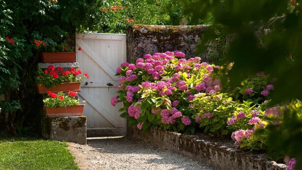 Un sendero de jardín que lleva a una puerta blanca, rodeado de flores rosadas y un césped verde exuberante.