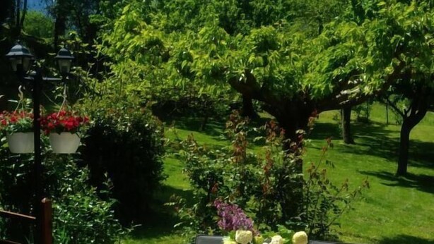 Un espace de restauration en plein air avec une table dressée pour quatre personnes, offrant une vue sur un paysage montagneux.