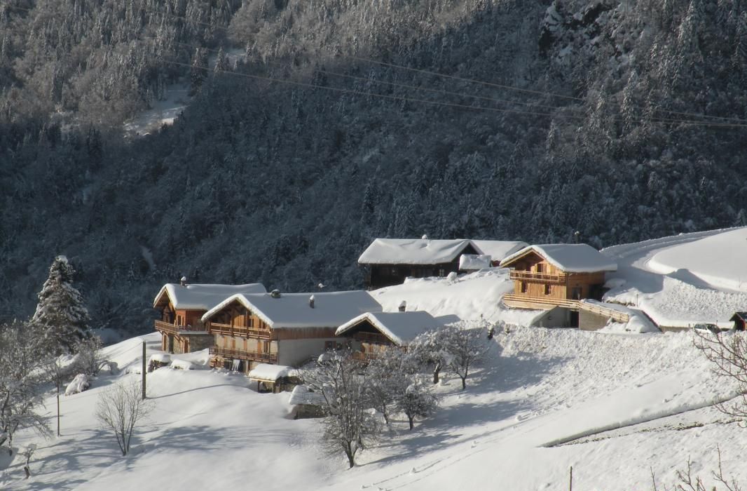 Eksteriør