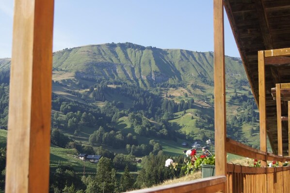 Property grounds - LE Domoizik - Hauteluce-les-saisies (HAUTELUCE-LES-SAISIES)