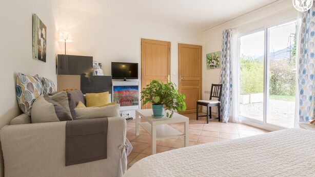 Une chambre avec un lit, un canapé, une télévision, une table avec une plante et une chaise.