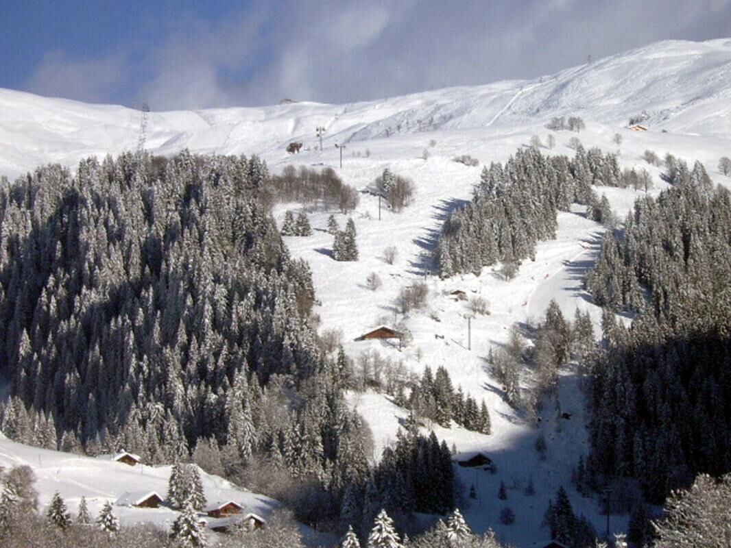 Un paysage montagneux enneigé, avec des chalets et de vastes forêts.