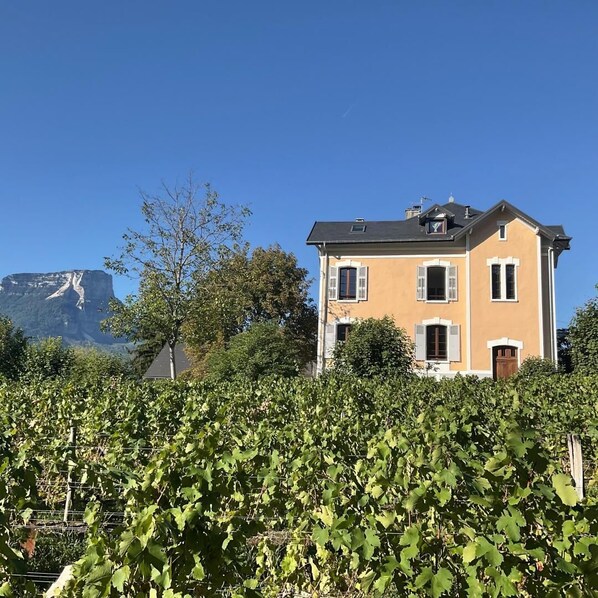 A two-story house with a balcony, surrounded by a vineyard.