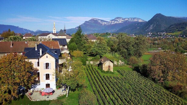 A vineyard with rows of grapevines, a large building with a tower, and mountains in the background. - LE Gite DE Myans - Myans (MYANS)