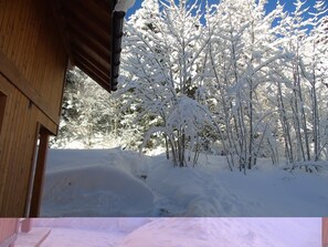 Property grounds - L'escachelle - LA Feclaz-les-deserts (LA FECLAZ LES DESERTS)