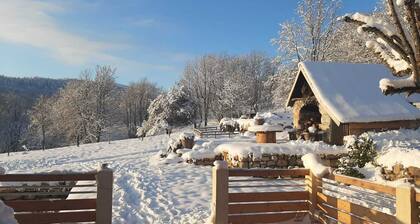 LA Guytoune - LA Feclaz-les-deserts