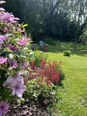 Terrain de l’hébergement 