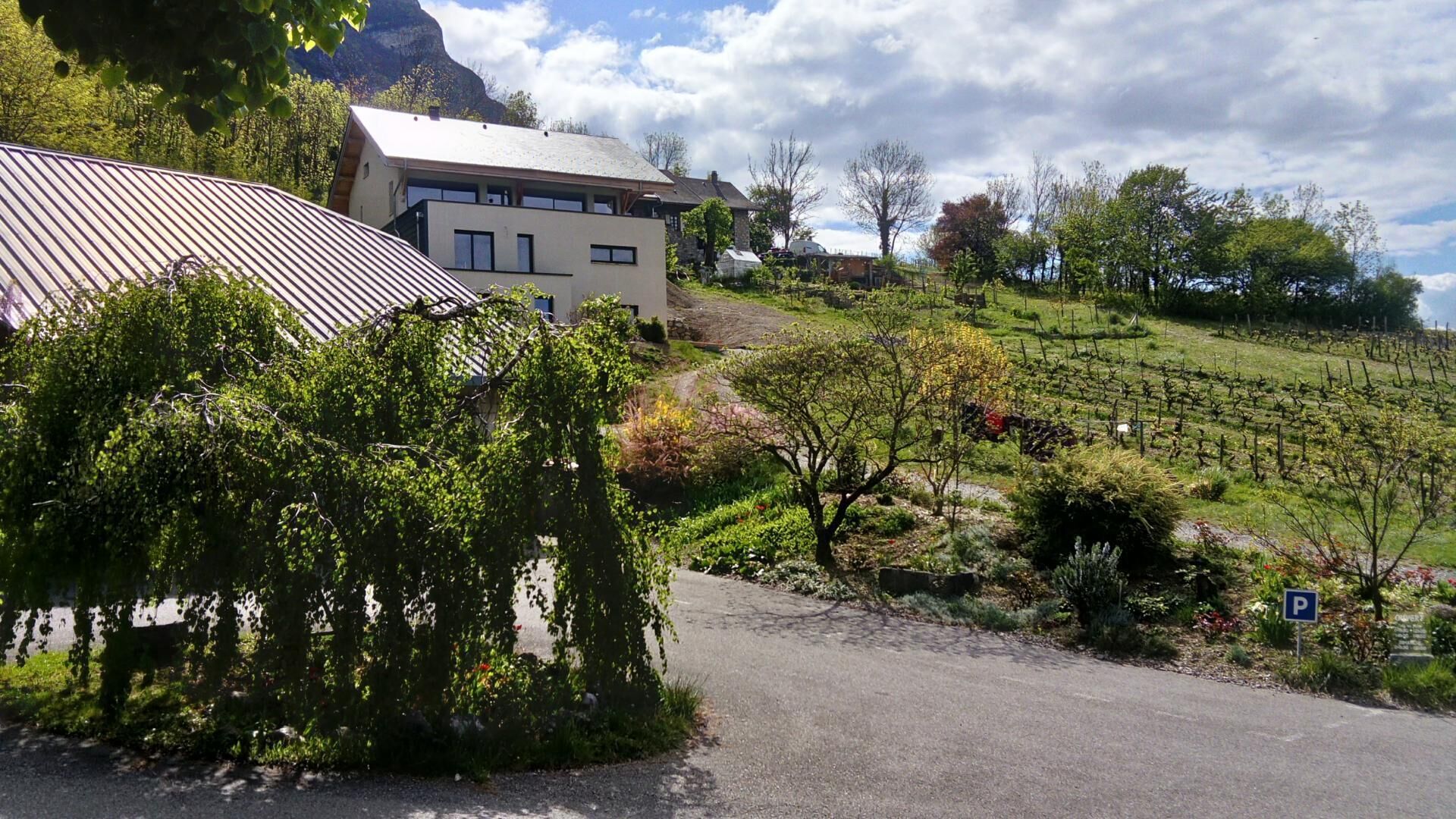 Un edificio moderno con techo inclinado, rodeado de abundante vegetación y un viñedo.