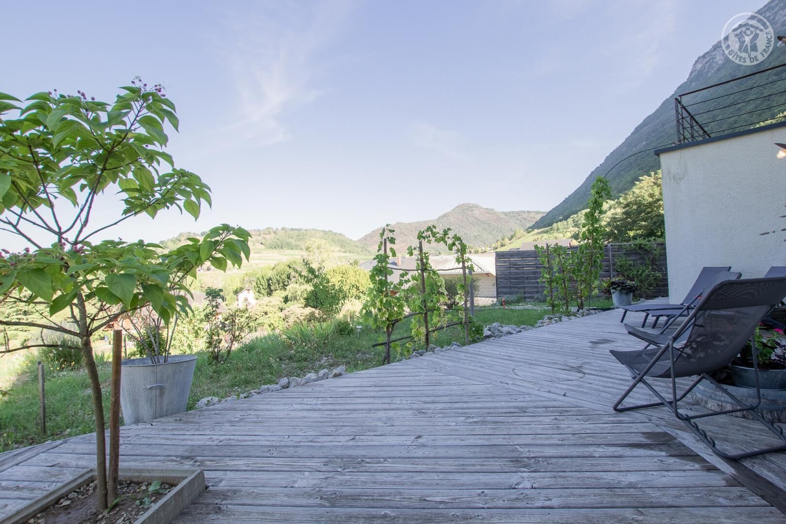 A wooden deck with lounge chairs, a potted plant, and a view of a vineyard and hills in the background.