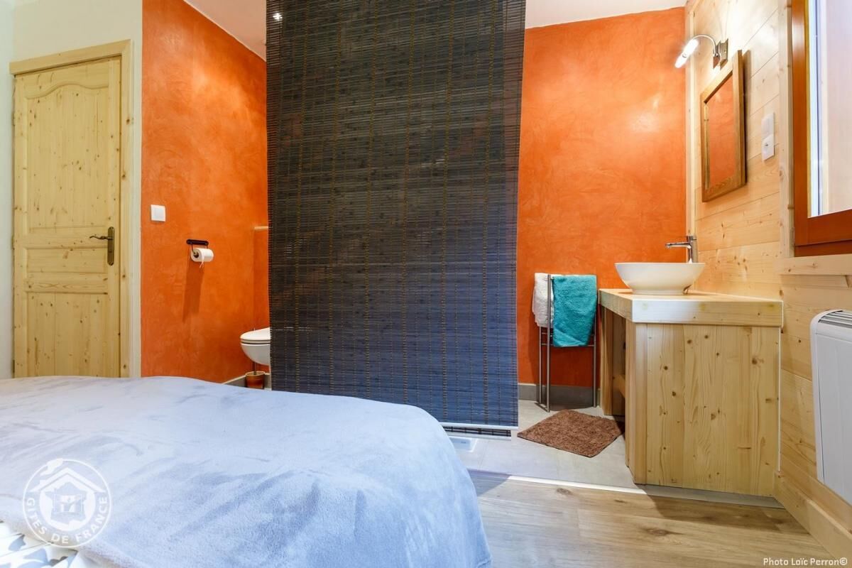 Een badkamer met een houten deur, een toilet, een wastafel en een handdoek aan de muur.