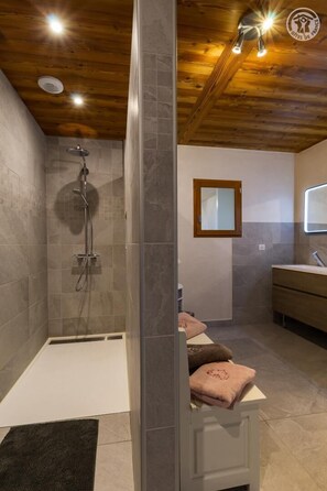 Shower, hair dryer
