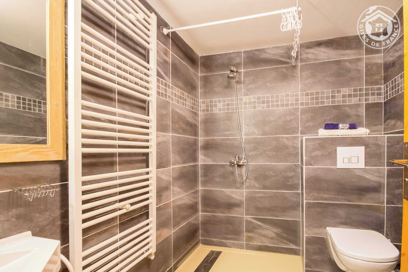 Et badeværelse med bruser, toilet og håndklædeholder.