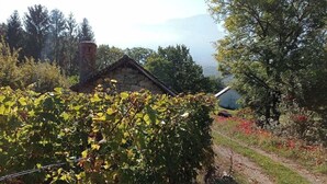 Ländliche Landschaft mit einem Steinhäuschen, einem Weg und einem Weinberg.