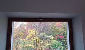 Une fenêtre donnant sur le paysage automnal.
