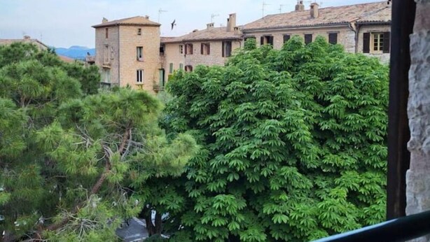 Vista de cases de pedra tradicionals amb un gran arbre al primer pla.