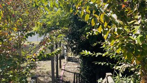 A wooden pathway leading through a garden with a wooden fence on either side. - Coastal Queenslander- 2 minute walk to the beach! (Woodgate)