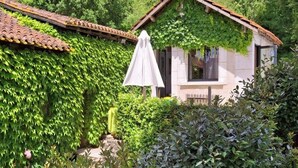 Una piccola casa ricoperta d'edera, con un ombrello bianco davanti.