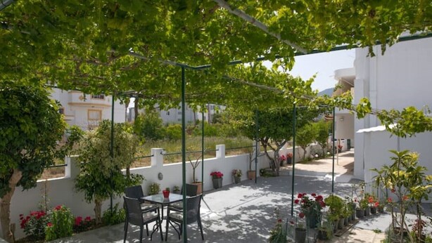 A patio with a table and chairs, surrounded by potted plants and flowers. - Detatched house - 1km from the beach. (KOS STATE - DODECANESE)