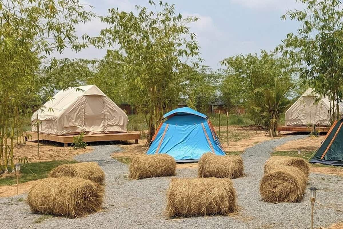 Basic Tent | 1 bedroom, premium bedding, pillowtop beds, minibar
