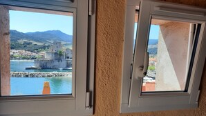 Two windows with a view of a river, buildings, and mountains. - Apartment + terrace T6 exceptional view/location, waterfront (Collioure)