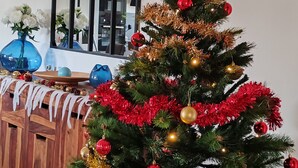 A Christmas tree decorated with red and gold ornaments, a star on top, and a mirror reflecting the room. - Mas provençal climatisé avec piscine (Châteaurenard)