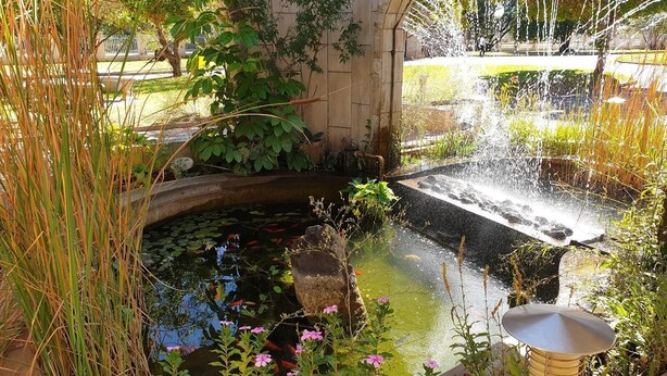 Un estanque tranquilo con nenúfares y flores rosadas, rodeado de abundante vegetación y una estructura de piedra.