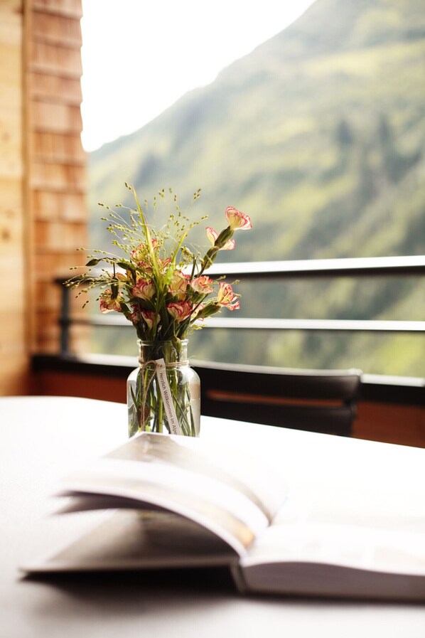 Vista des de l'allotjament