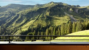 A mountain landscape viewed from a wooden balcony with a metal railing. - Alpenstolz #2.04 Comfort (Damüls)