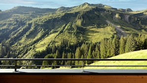 A mountain landscape viewed from a wooden balcony with a metal railing. - Alpenstolz #4.11 Exclusive with coolfire (Damüls)