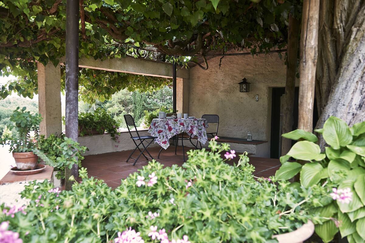 Eine Terrasse im Freien mit einem Tisch unter einer mit Wein bewachsenen Pergola, umgeben von Blumentöpfen und einer rustikalen Mauer.