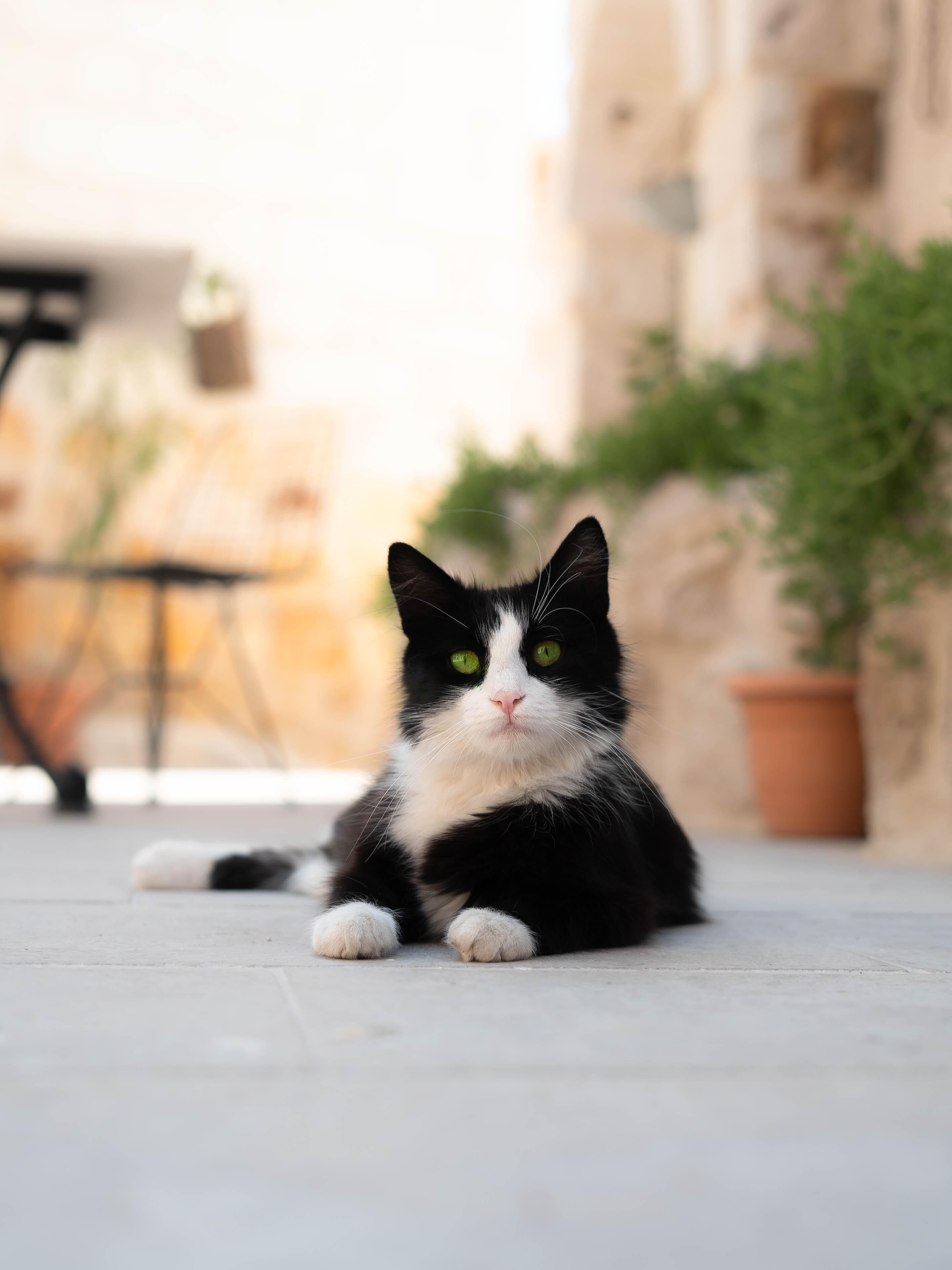 Foto - Göreme Escape Cave