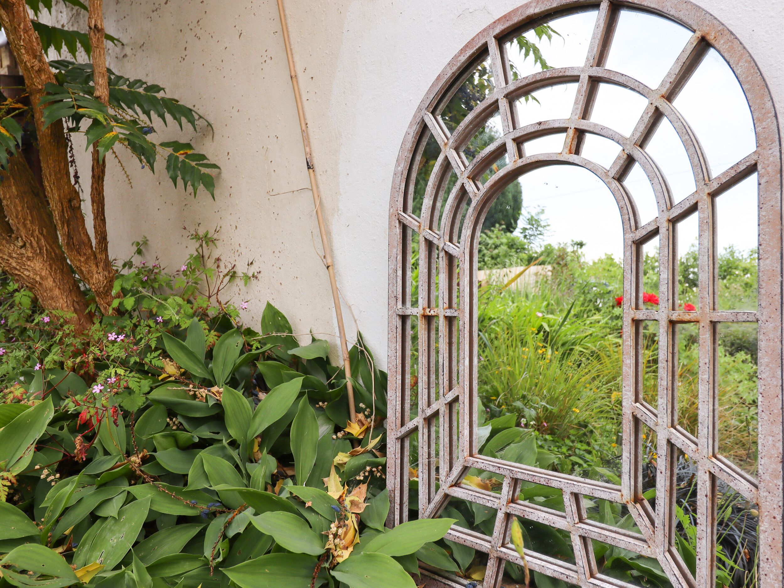 Área da propriedade