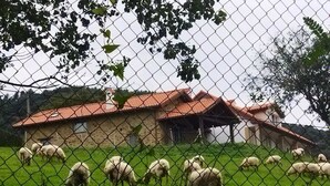 Ein eingezäunter Bereich mit einem Steinhaus und einer Wiese.