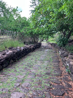 Enceinte de l’hébergement