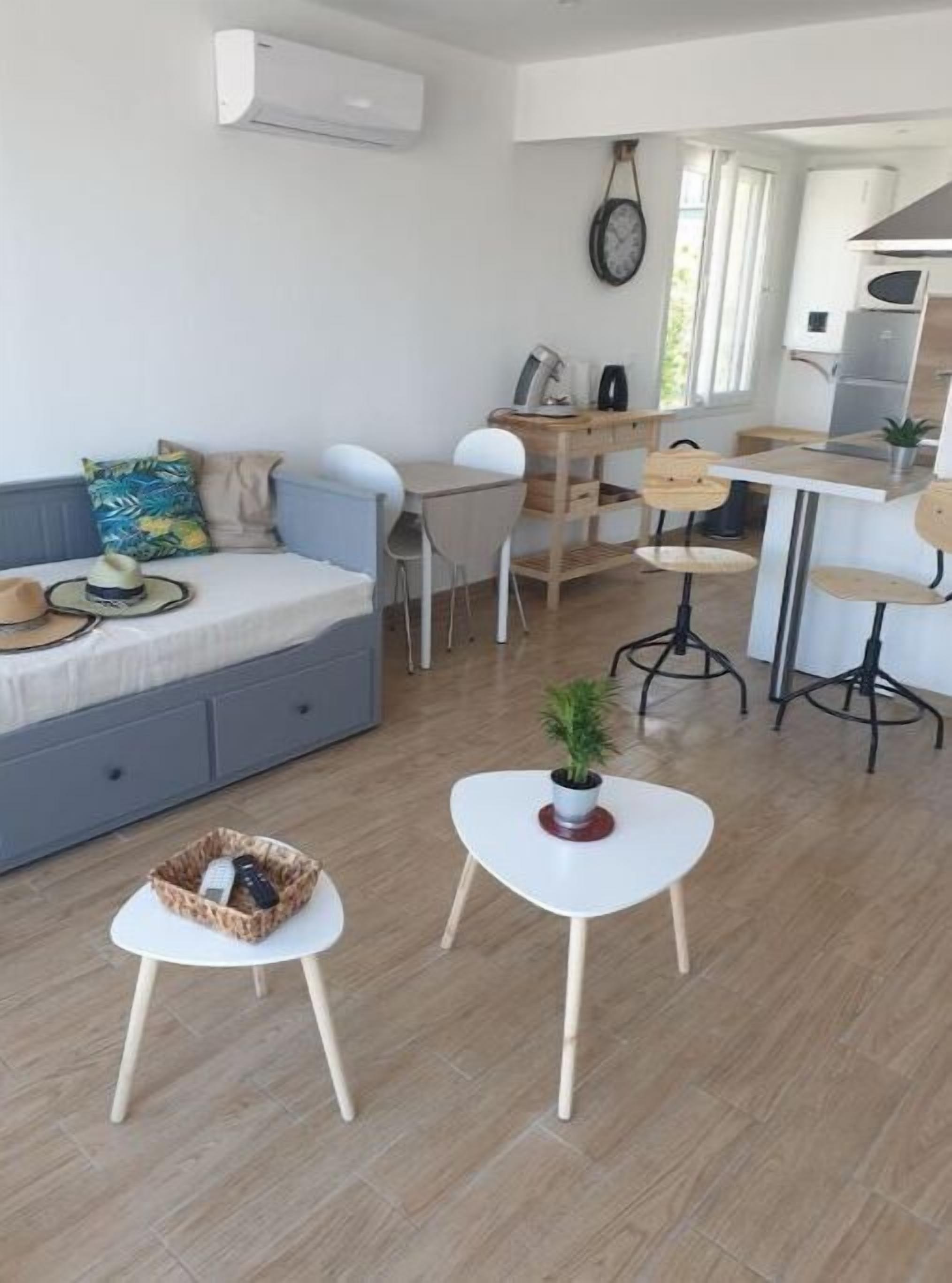 Un salon moderne avec un canapé, une petite table ornée d’une plante, et un coin repas comprenant des chaises, avec une cuisine en arrière-plan.