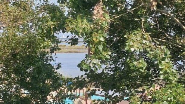 Vue d’une zone de piscine avec un scooter garé à proximité, le tout entouré d’arbres.