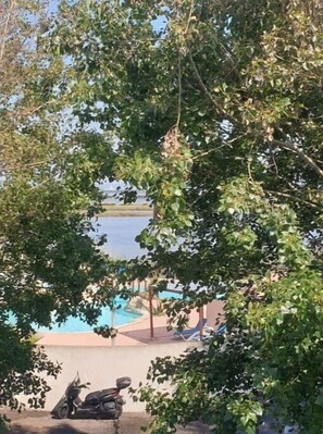 A view of a pool area with a scooter parked nearby, surrounded by trees.