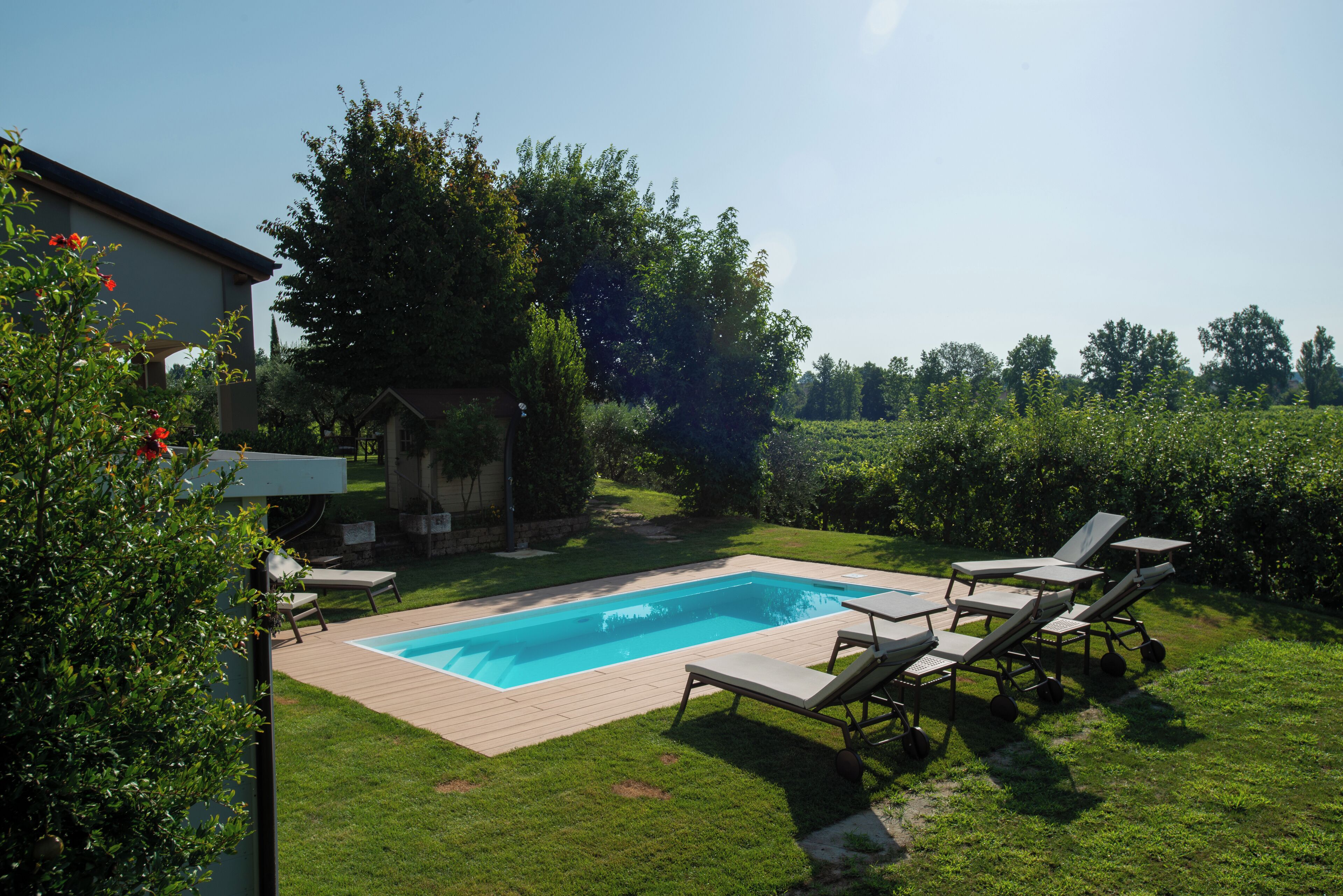 Una piscina rettangolare con bordo in legno, circondata da un prato e alberi.