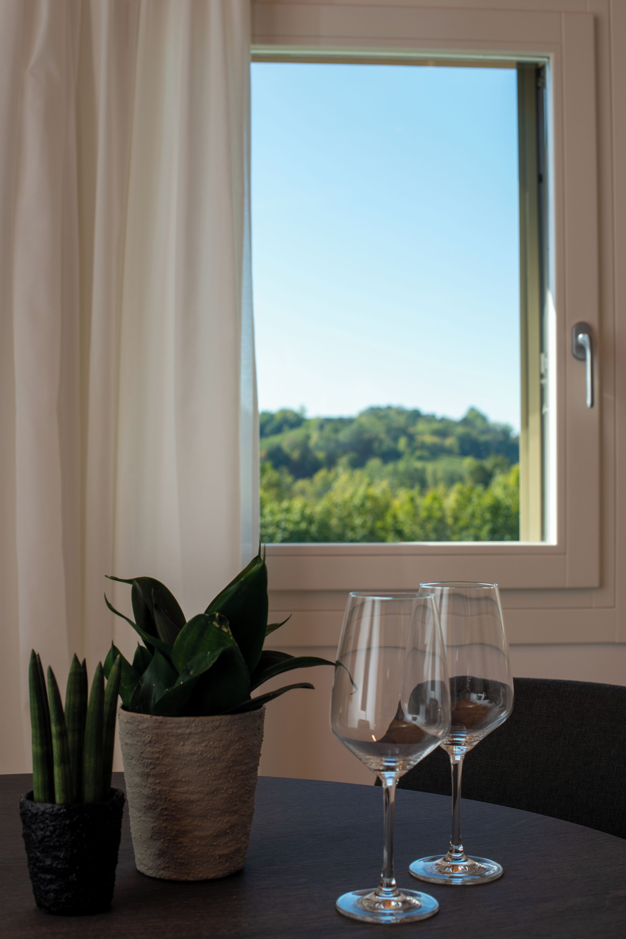 A table with two wine glasses and a potted plant by a window with a view of greenery.