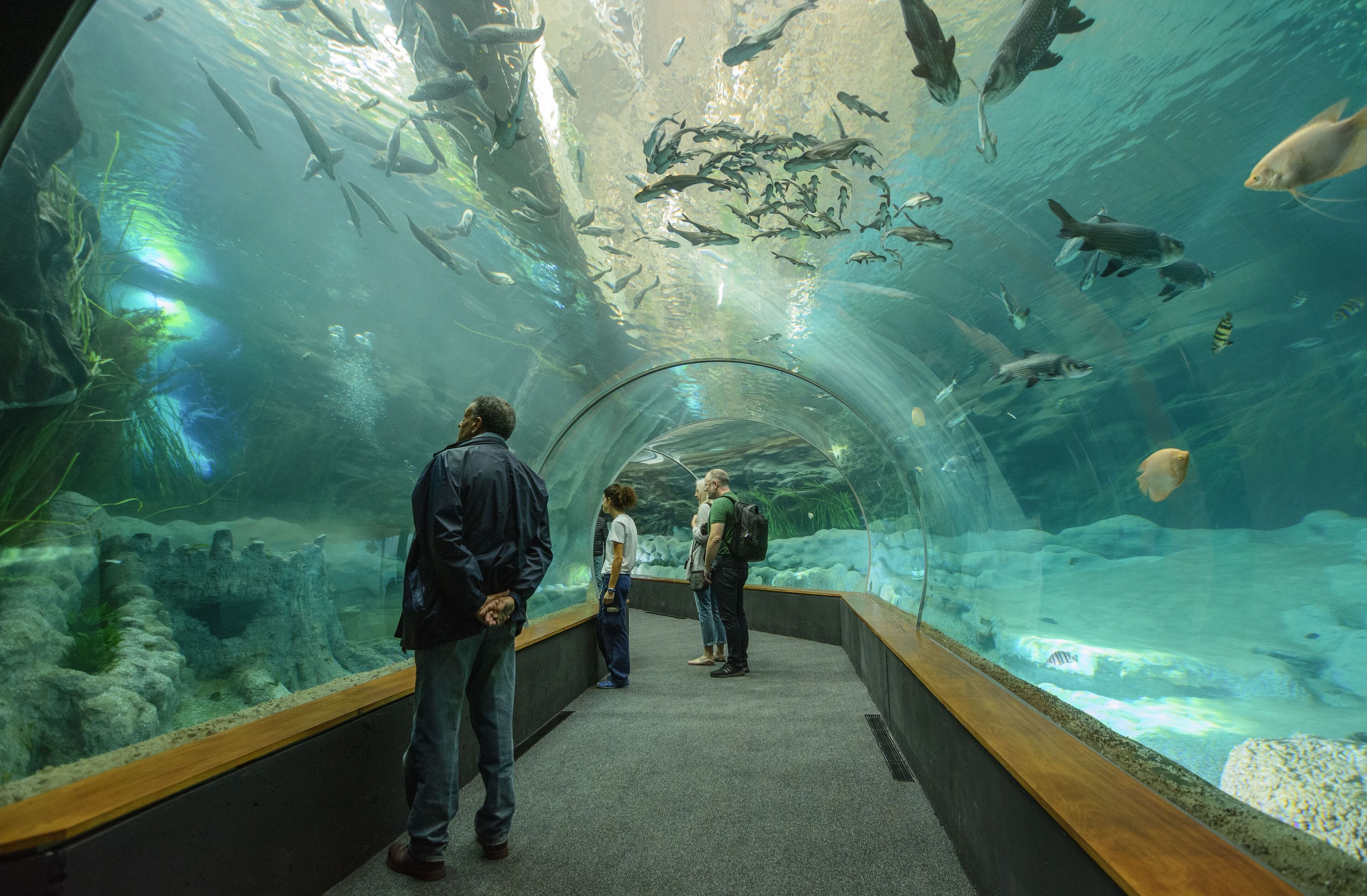 Foto - Hotel MG Poniente