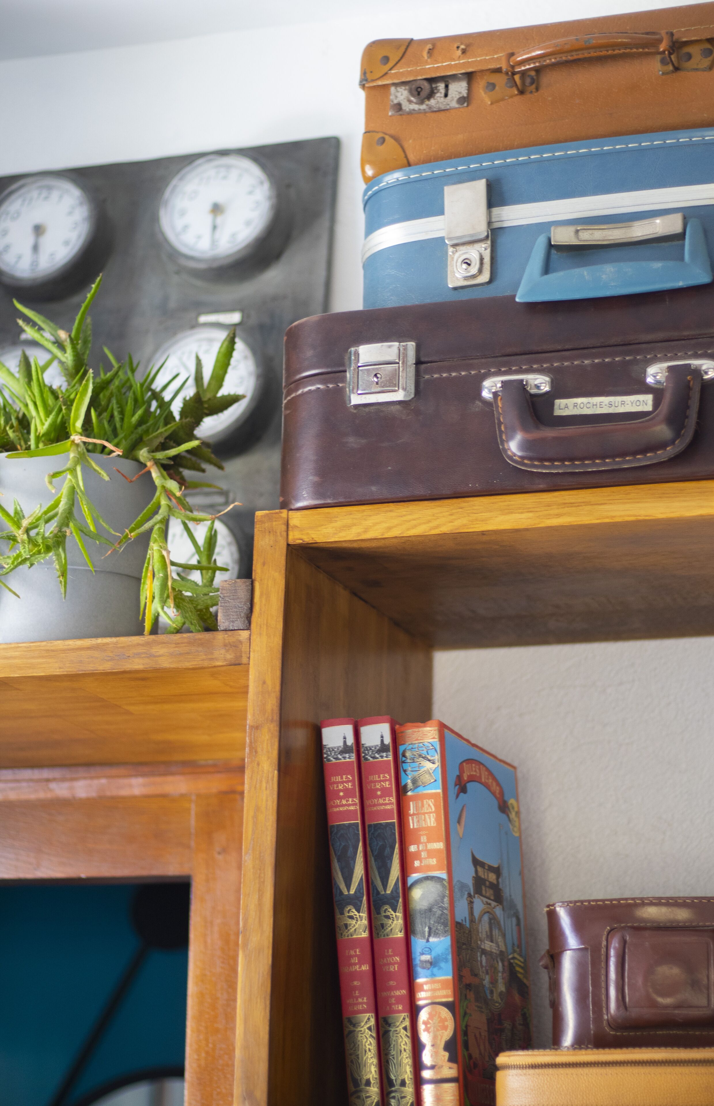 A wooden shelf with a potted plant, a stack of books, and a vintage suitcase.