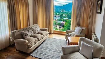 Smart TV, fireplace, books