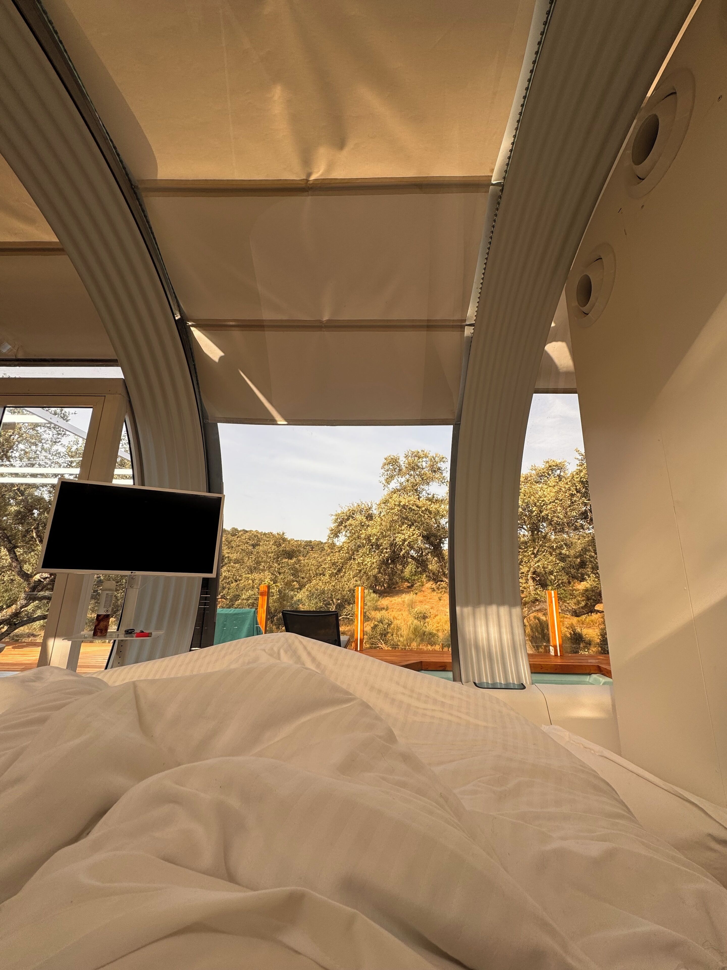 Una cama con vistas a un paisaje natural, un televisor y una mesita con una silla.