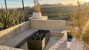 Une terrasse sur le toit avec un banc en pierre, un petit pot de fleurs contenant une plante et un foyer.