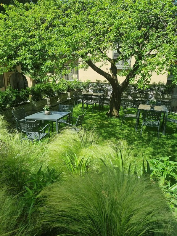 Un patio al aire libre con mesas y sillas, rodeado de abundante vegetación y un gran árbol.