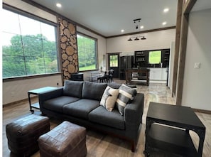 Smart TV, fireplace, table football, books