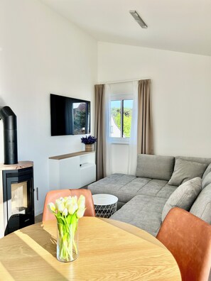 Smart TV, fireplace, books