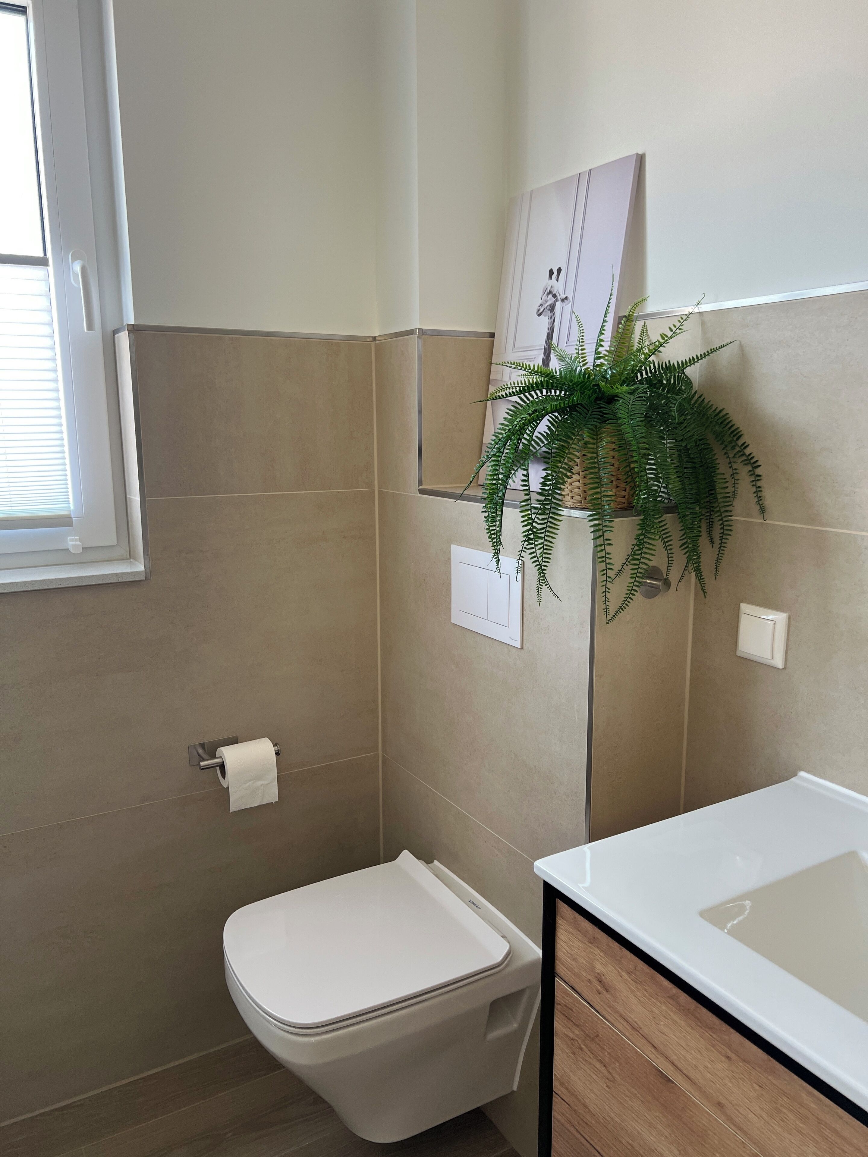 Une salle de bain avec des toilettes, un lavabo et une plante en pot.
