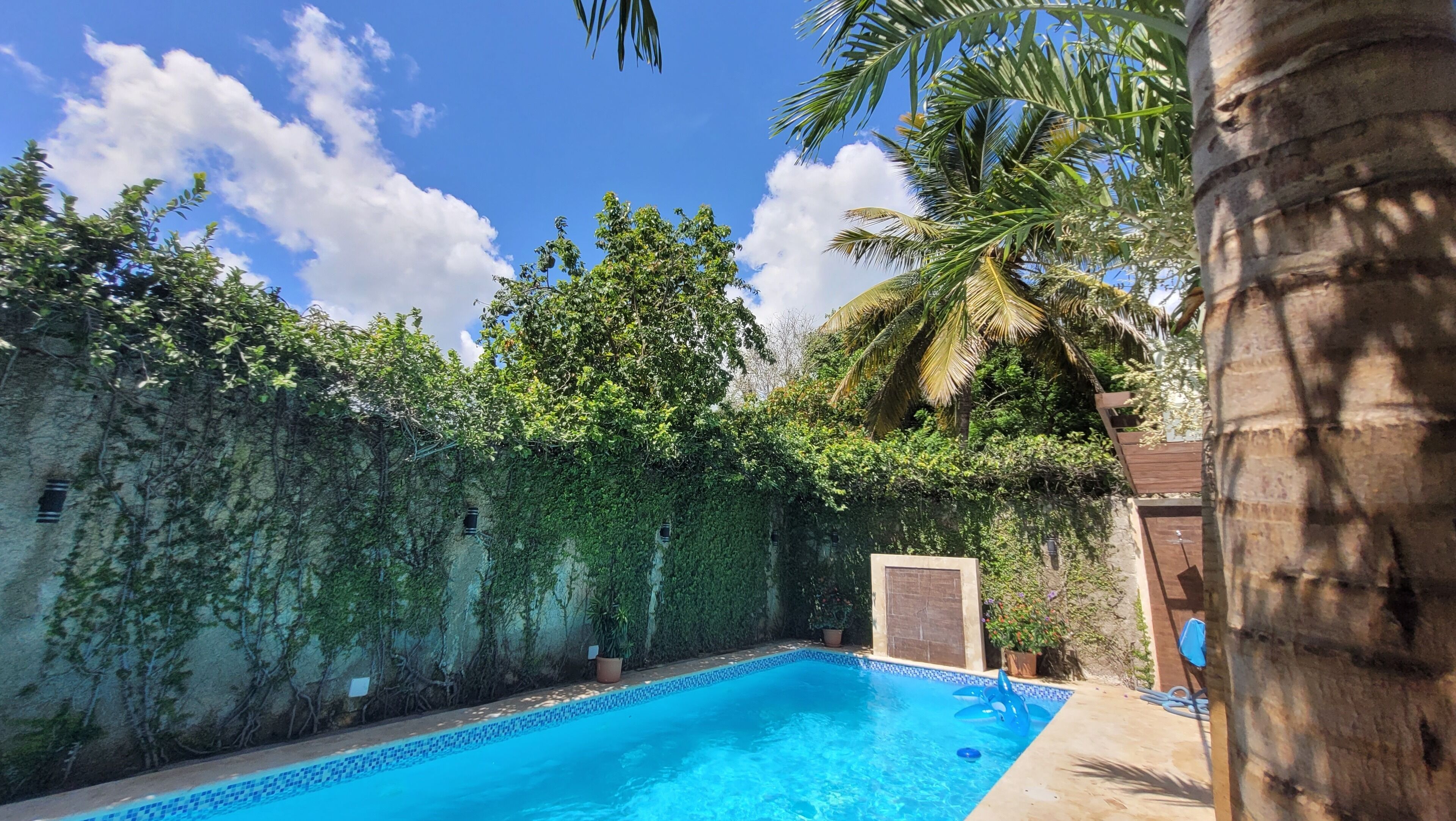 Una piscina rodeada de exuberante vegetación y un muro de piedra.